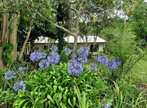 Country Cottage in Imbil - Mary Valley