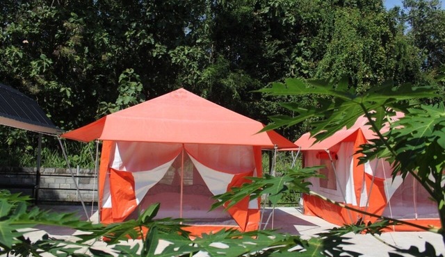 Demy Home