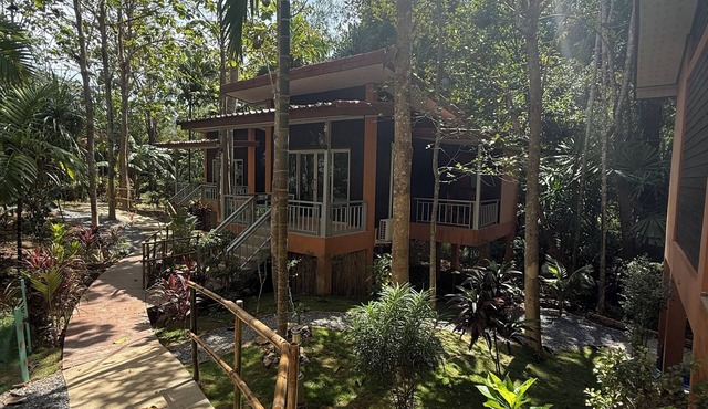 Echo Samadhi