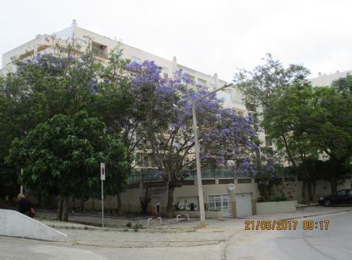 Edificio Nau
