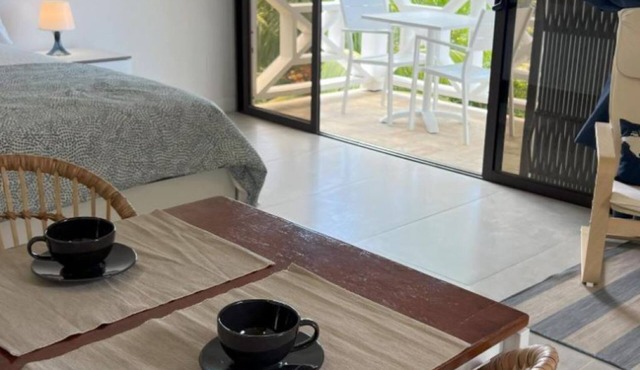 Explore Sesel from Naturalis: newly built, best ocean views, pool, lush gardens.
