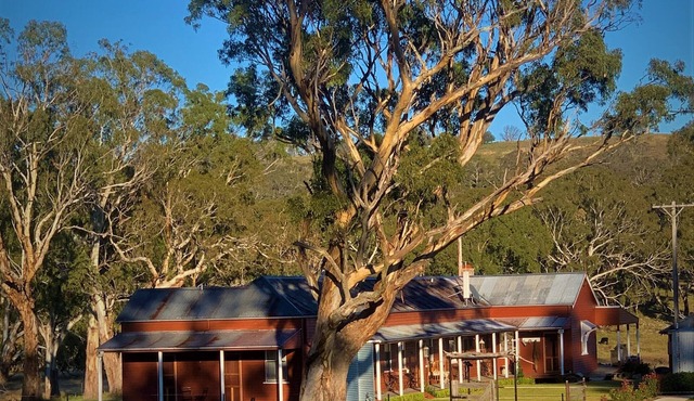 Fabulous Country Stay on cattle & sheep property northern NSW