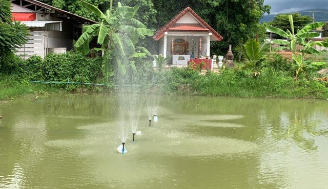 Family Vacation Chiangrai
