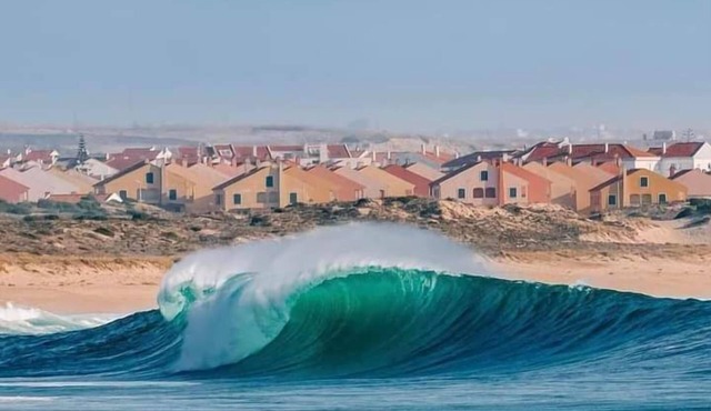 FreeSurfCamp