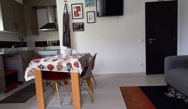 Friendly Peniche Apartment