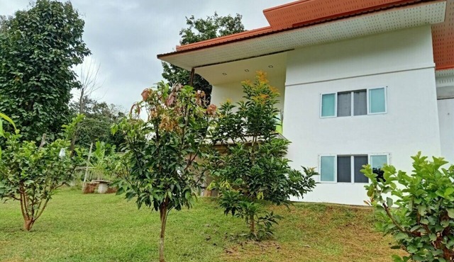 GJ TOUR Cozy homestay in beautiful Pangmapha, Tham Lot with AC.