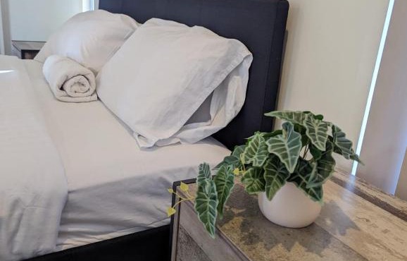 Gladstone Entire House 4 Beds 2 Baths Air-conditioned in City