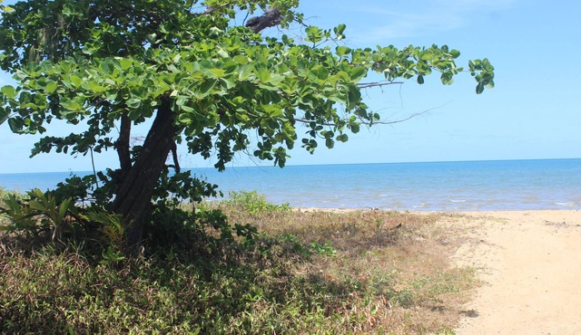 Hopeful Hut