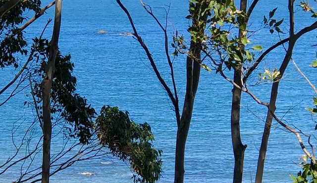 Karana Beach House - amazing views stroll to beach
