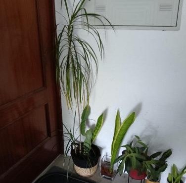 Lisbon Room