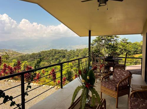 Luxury In The Jungle
