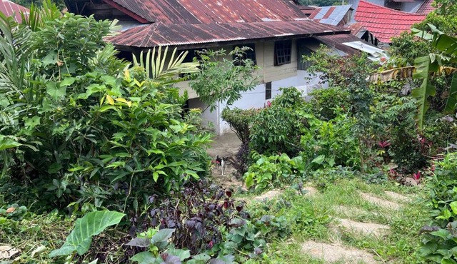 Mamasa Local House