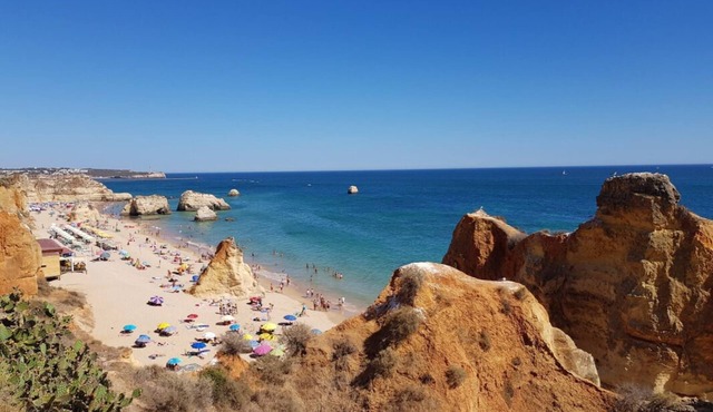 Minutes to Afurada Beach! Two Relaxing 2BR Apartment, Full Kitchens, 3 Pools!