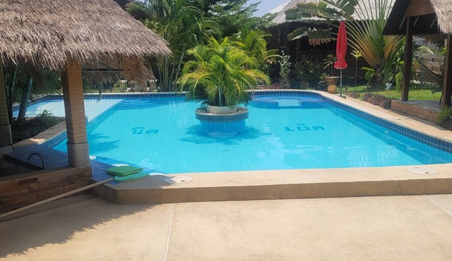 Mistercheck paradise bungalows