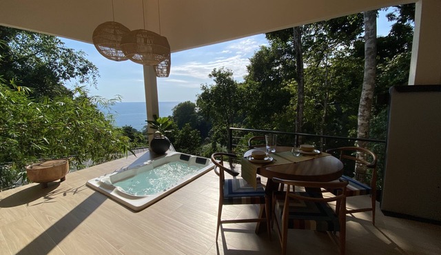 Monkey house, in the middle of the jungle with amazing ocean view