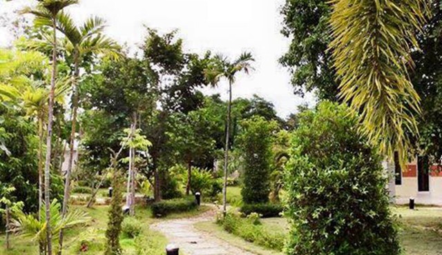 Nan at Pua