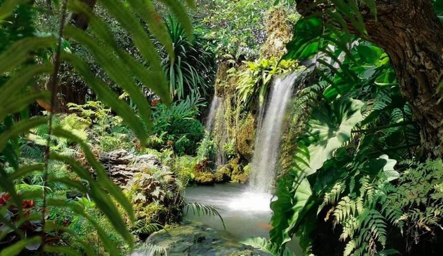 Natural Place