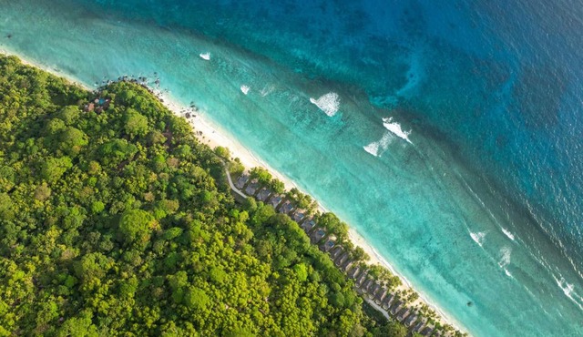 Niva Labriz Seychelles