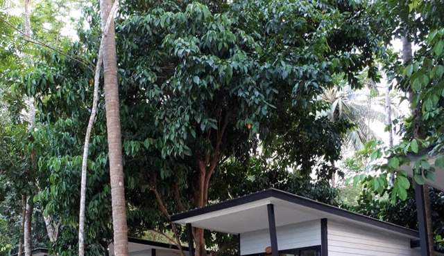 Num Chaykhong