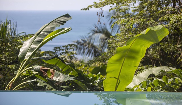 Ocean View Villa Newman, 300m from the beach