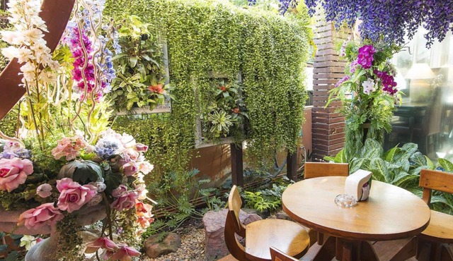 Orchid Resort