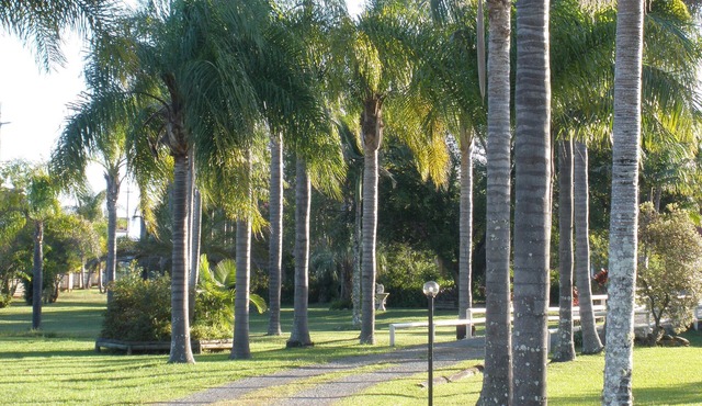 Palms Oasis Motel