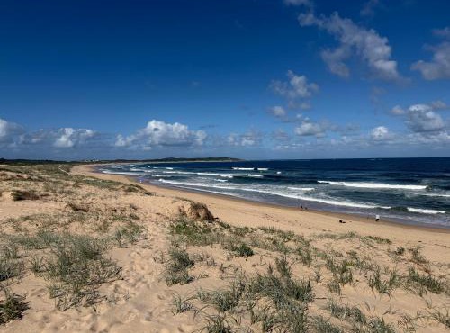 Plumeria Cottage Private Coastal Retreat by Australia No 1 Beach
