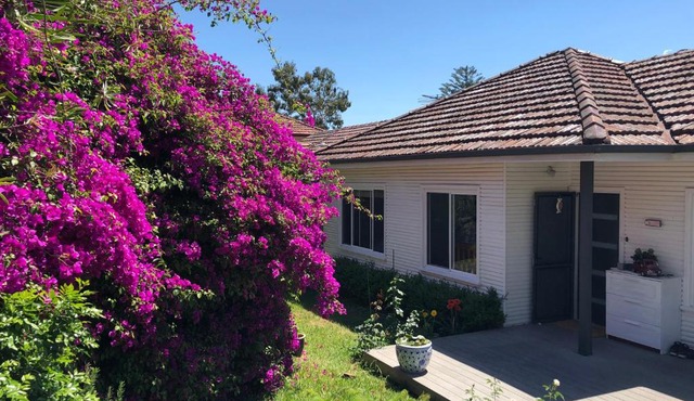 Private room in Marsfield/Macquarie Park/Uni/Eastwood