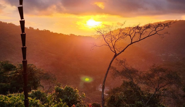 Quiet Serenity overlooking the Jungle and Sea