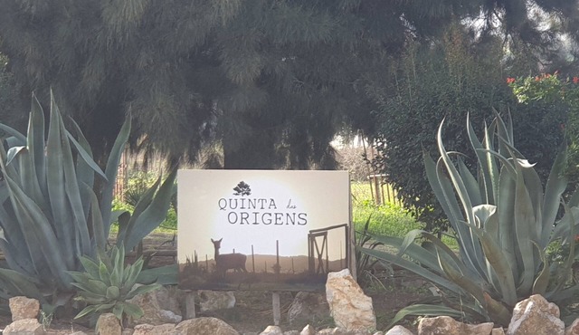 Quinta das Origens