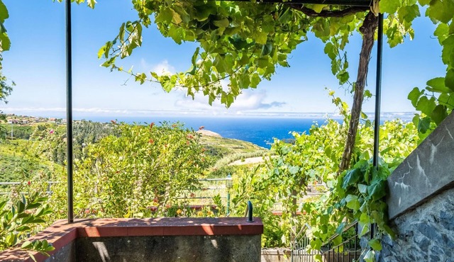 Rainbow Cottage by Madeira Sun Travel