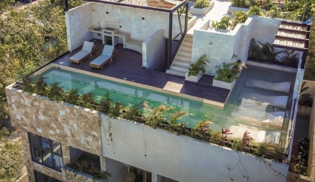 Rainforest view studio with private pool
