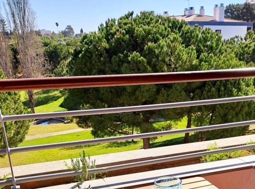 Relax and unwind : pool, garden, beach & city