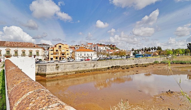 SILVES CLASSIC by HOMING