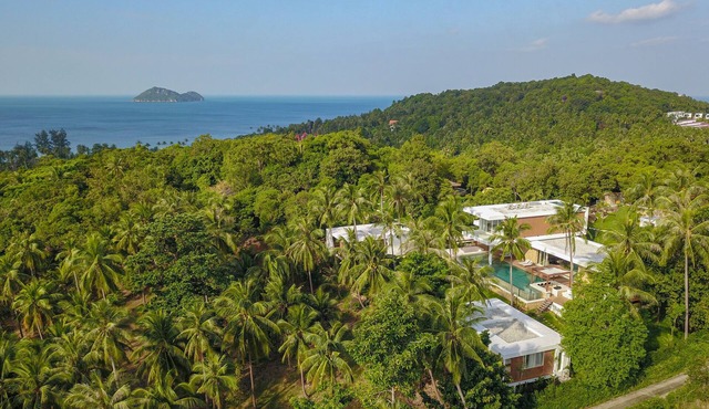 Sleek and spacious palatial family-style villa with a large garden