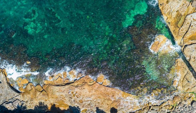 South Coogee Escape, Heated Pool & Spacious Living