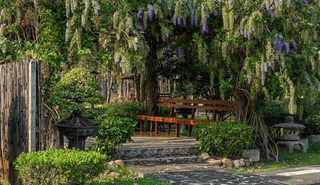 Suanpung Bonsai Village