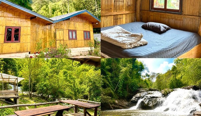 Sunny Jungle Waterfall Retreat