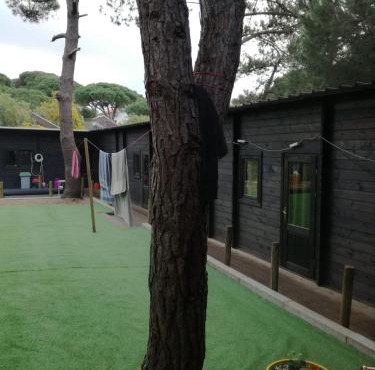 Surf Camp Ecológico