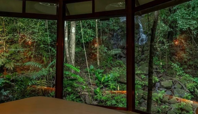 The Nest Unique Jungle Retreat