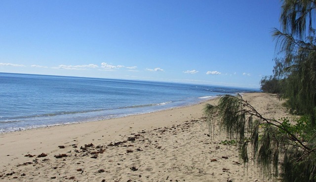 The Sun and Sea Modern split level, pet-friendly family holiday home on the Esplanade