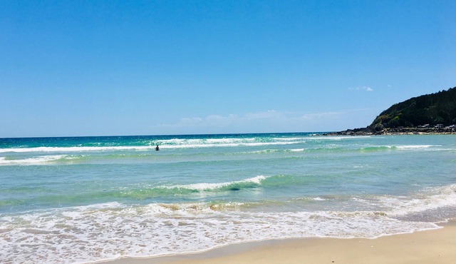 TownHouse plus Studio Optional Add-on-Family+Friends+Pets+Value 5min to Beach.