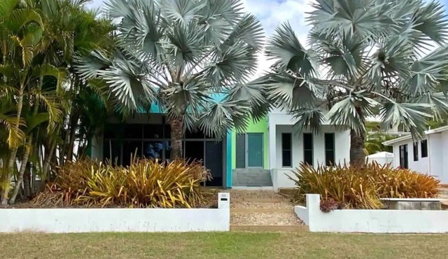 Tropical Blue