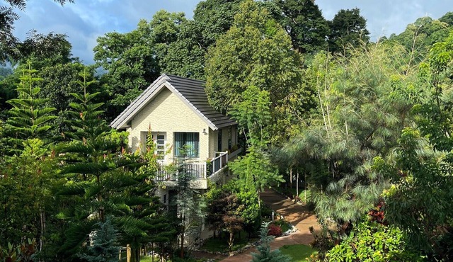 Vana homestay
