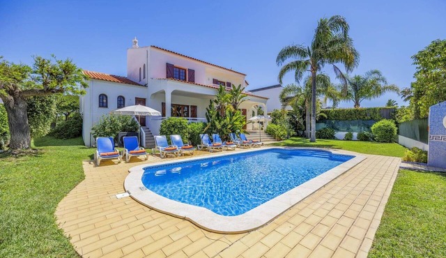 Villa Casa das Palmeiras by Villa Plus