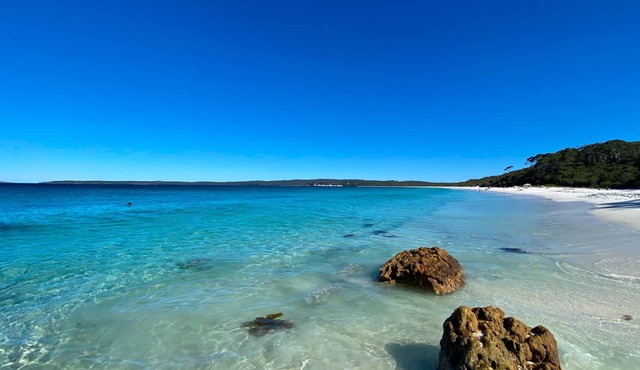 White Lodge at Hyams Beach - large beautiful home with bay views
