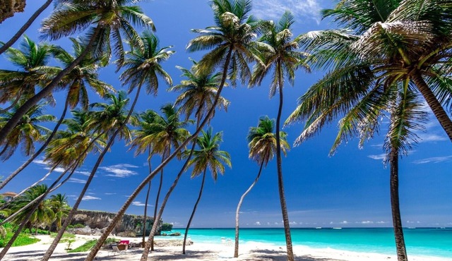 Your own private villa, just a short stroll from beautiful Bottom Bay beach