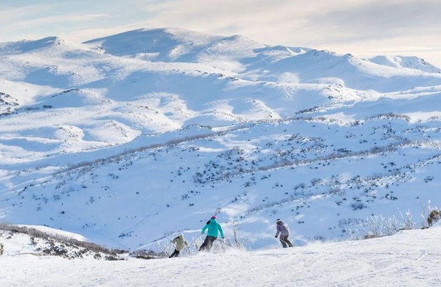 Snohus 1
