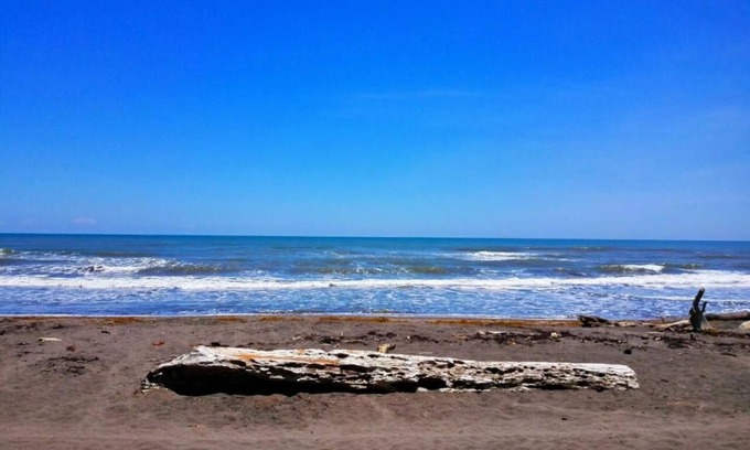 Tortuguero Hostel | Casa Turtle Bogue - Hostel