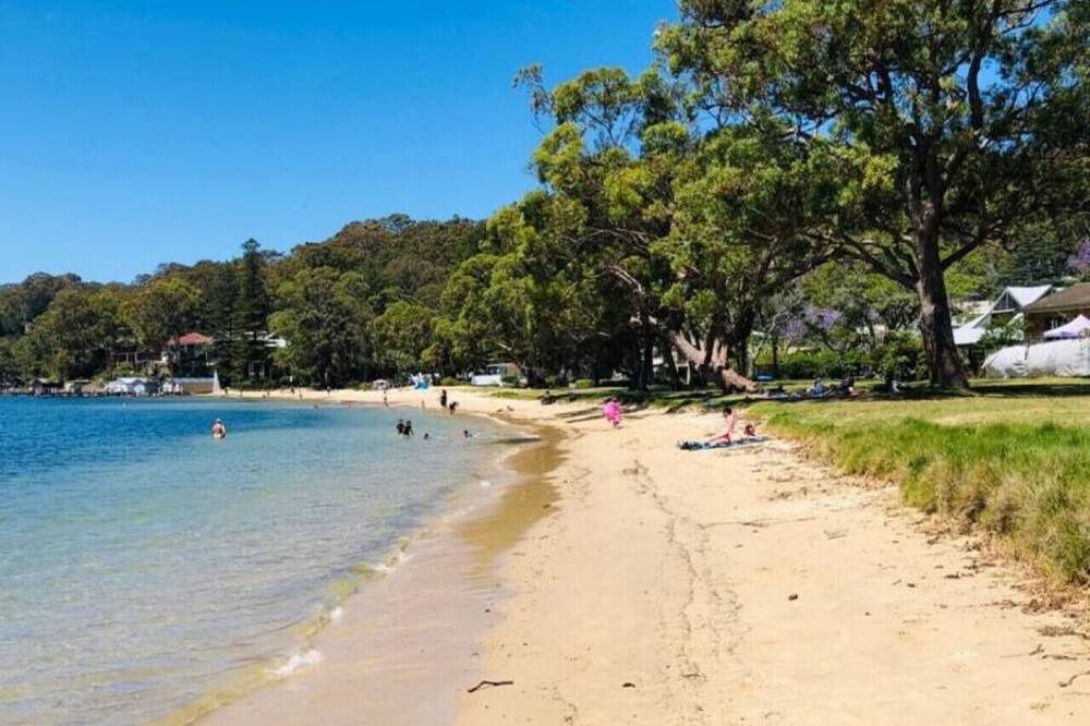 Photo of Others in Avalon Beach